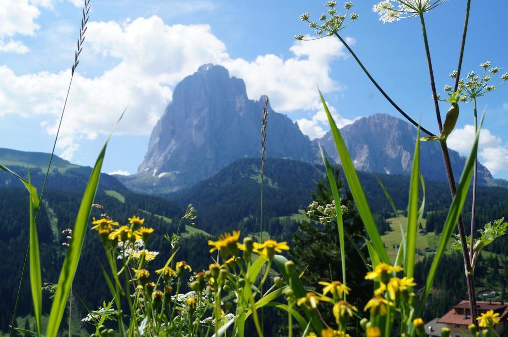 Apartments Salieta Santa Cristina Val Gardena 외부 사진